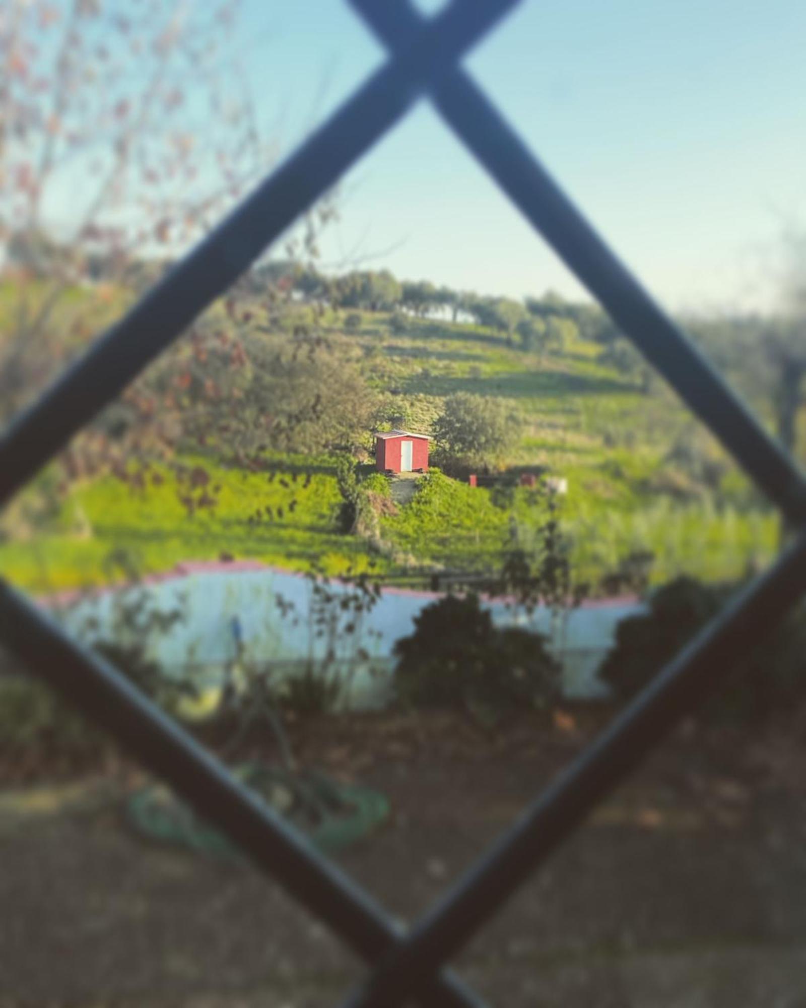 La Casa Barata, Casa Rural Седильо Экстерьер фото